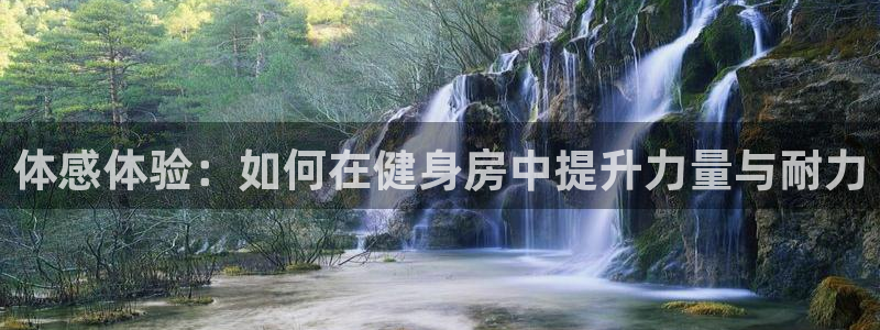 好博体育链接：体感体验：如何在健身房中提升力量与耐力