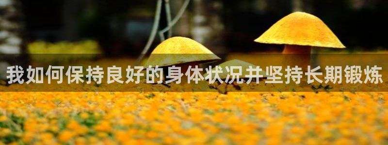 好博体育gdapp下载安装：我如何保持良好的身体状况并坚持长期锻炼