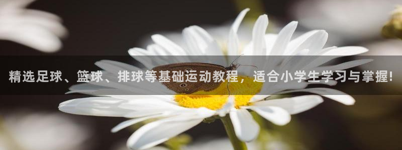 好博体育中国：精选足球、篮球、排球等基础运动教程，适合小学生学习与掌握!