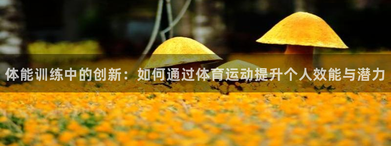 好博体育APP官方下载：体能训练中的创新：如何通过体育运动提升个人效能与潜力