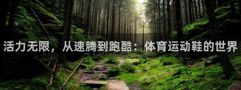 好博体育平台入口官网：活力无限，从速腾到跑酷：体育运动鞋的世界