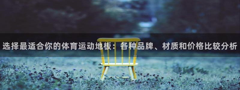 好博体育中国：选择最适合你的体育运动地板：各种品牌、材质和价格比较分析