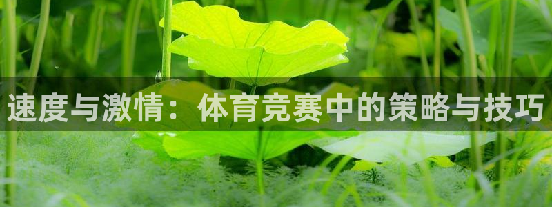 好博体育APP下载入口：速度与激情：体育竞赛中的策略与技巧